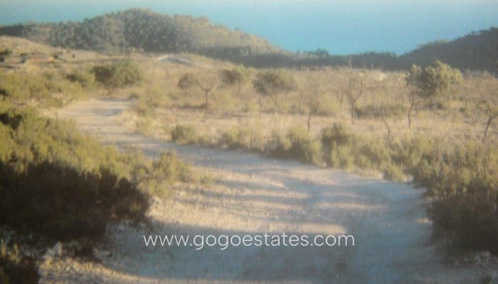 Te koop - Perceel - Land - Relleu - Relleu Centro