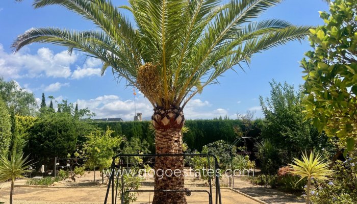 Te koop - Huis - Vrijstaande Villa - l'Alfas del Pi - L'Alfás del Pi Centro