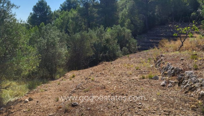 Venta - Parcela - Terreno - Parcent