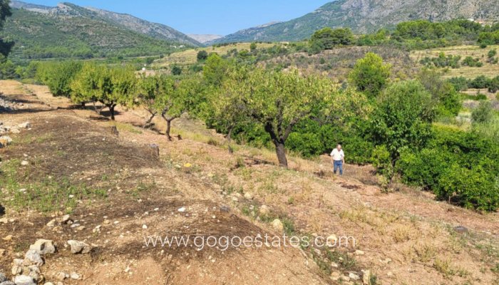 Venta - Parcela - Terreno - Parcent