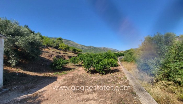 Venta - Parcela - Terreno - Parcent