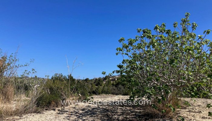 Te koop - Perceel - Land - Benissa - Benissa Centro