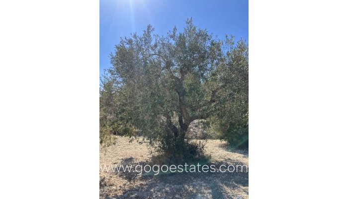 Te koop - Perceel - Land - Benissa - Benissa Centro