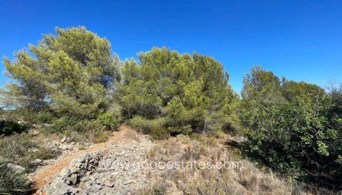 Te koop - Perceel - Land - Benissa - Benissa Centro