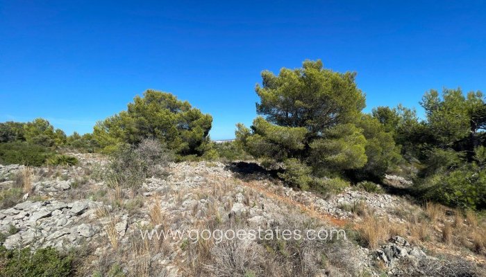 Te koop - Perceel - Land - Benissa - Benissa Centro