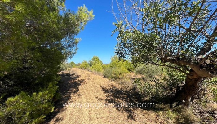 Te koop - Perceel - Land - Benissa - Benissa Centro