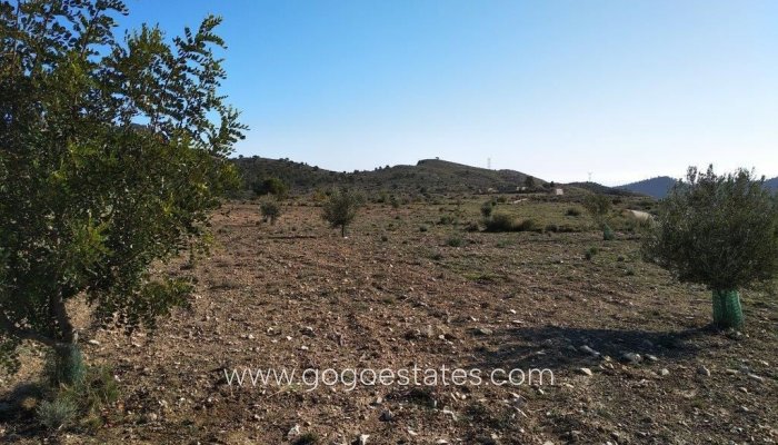 Te koop - Perceel - Woonperceel - Relleu - Relleu Centro