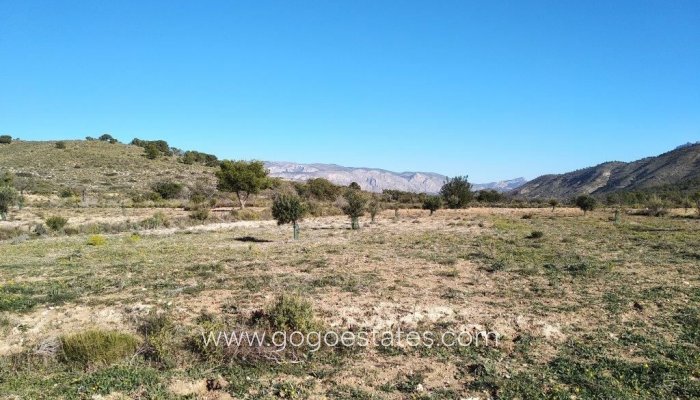 Te koop - Perceel - Woonperceel - Relleu - Relleu Centro