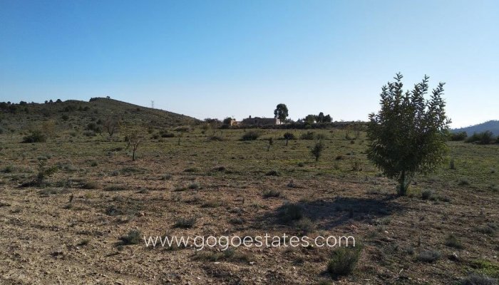 Te koop - Perceel - Woonperceel - Relleu - Relleu Centro