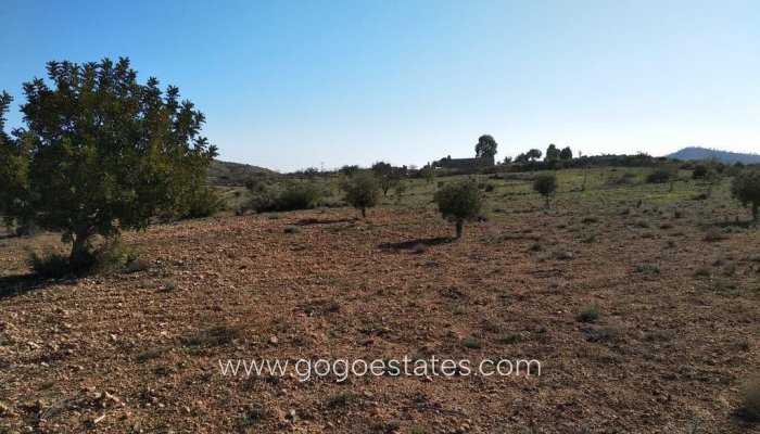 Te koop - Perceel - Woonperceel - Relleu - Relleu Centro