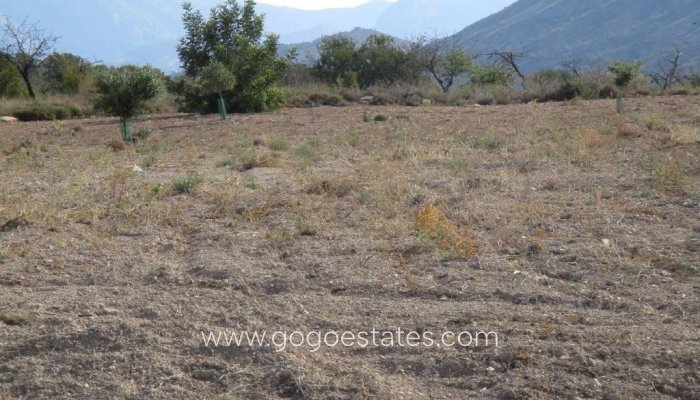 Te koop - Perceel - Woonperceel - Relleu - Relleu Centro