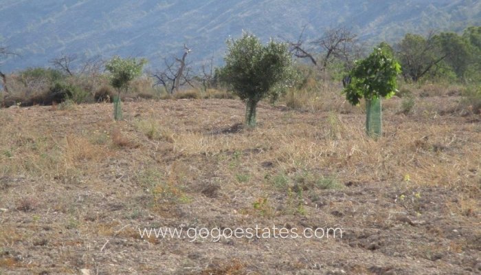 Te koop - Perceel - Woonperceel - Relleu - Relleu Centro