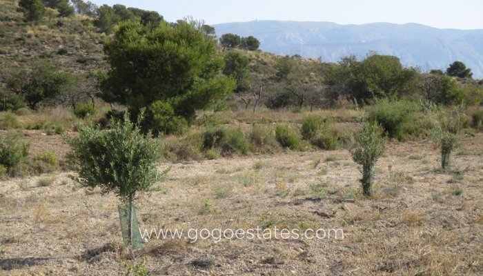 Te koop - Perceel - Woonperceel - Relleu - Relleu Centro