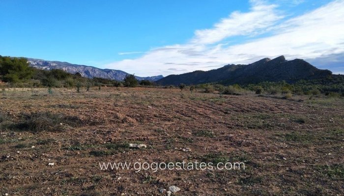 Te koop - Perceel - Woonperceel - Relleu - Relleu Centro