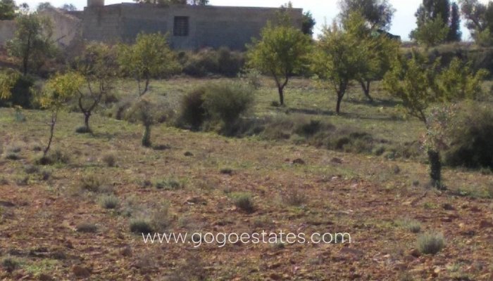 Te koop - Perceel - Woonperceel - Relleu - Relleu Centro