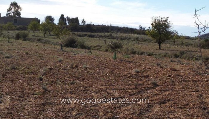 Te koop - Perceel - Woonperceel - Relleu - Relleu Centro