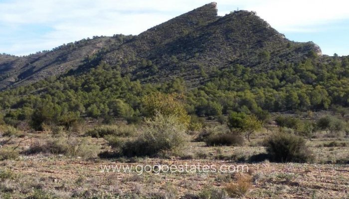 Te koop - Perceel - Woonperceel - Relleu - Relleu Centro