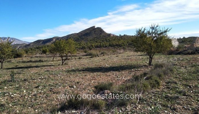 Te koop - Perceel - Woonperceel - Relleu - Relleu Centro