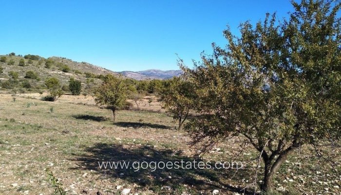 Te koop - Perceel - Woonperceel - Relleu - Relleu Centro