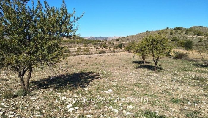 Te koop - Perceel - Woonperceel - Relleu - Relleu Centro