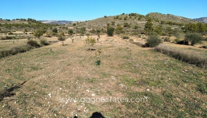 Te koop - Perceel - Woonperceel - Relleu - Relleu Centro