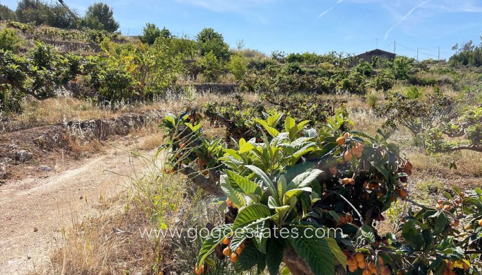Te koop - Perceel - Land - Callosa d'en Sarria - Callosa d'en Sarria Centro