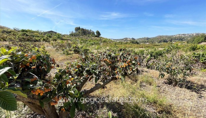Te koop - Perceel - Land - Callosa d'en Sarria - Callosa d'en Sarria Centro