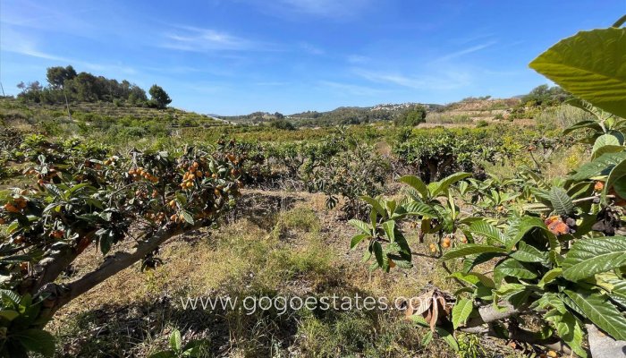 Te koop - Perceel - Land - Callosa d'en Sarria - Callosa d'en Sarria Centro