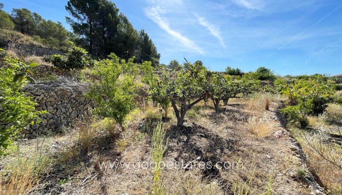 Te koop - Perceel - Land - Callosa d'en Sarria - Callosa d'en Sarria Centro