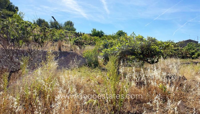 Te koop - Perceel - Land - Callosa d'en Sarria - Callosa d'en Sarria Centro