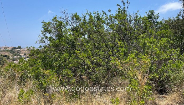 Te koop - Perceel - Woonperceel - Calpe - Calpe Centro