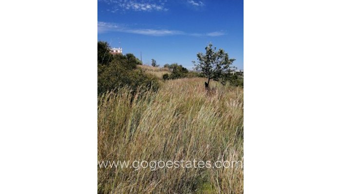 Revente - Terrain - Terrain - Calpe - Calpe Centro