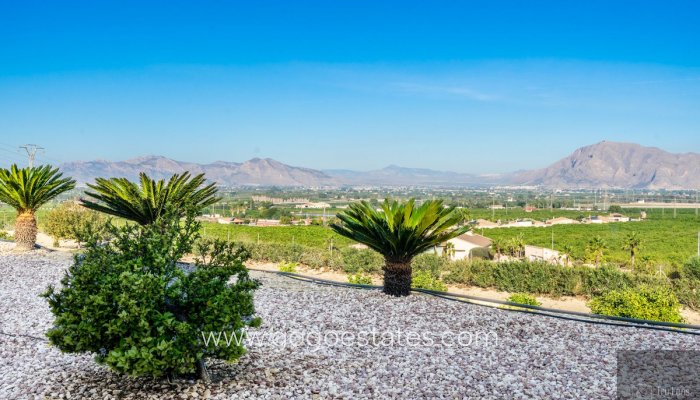 Te koop - Huis - Vrijstaande Villa - Benejuzar - Benejuzar Centro