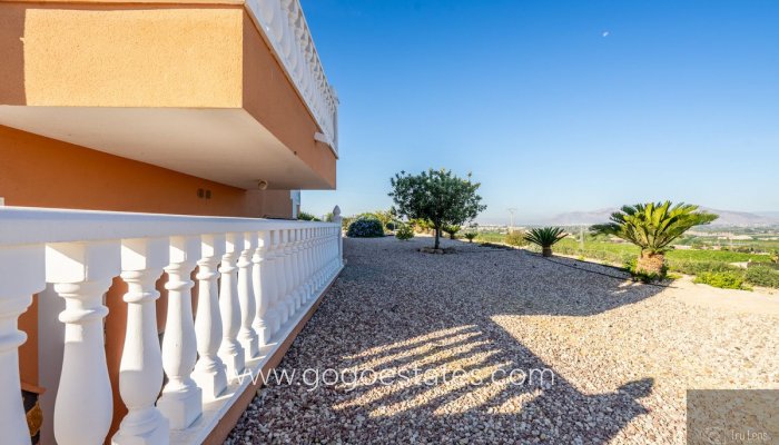 Te koop - Huis - Vrijstaande Villa - Benejuzar - Benejuzar Centro