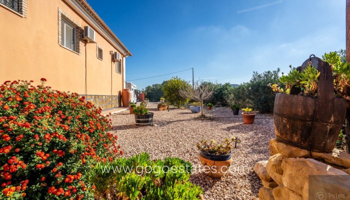 Te koop - Huis - Vrijstaande Villa - Benejuzar - Benejuzar Centro