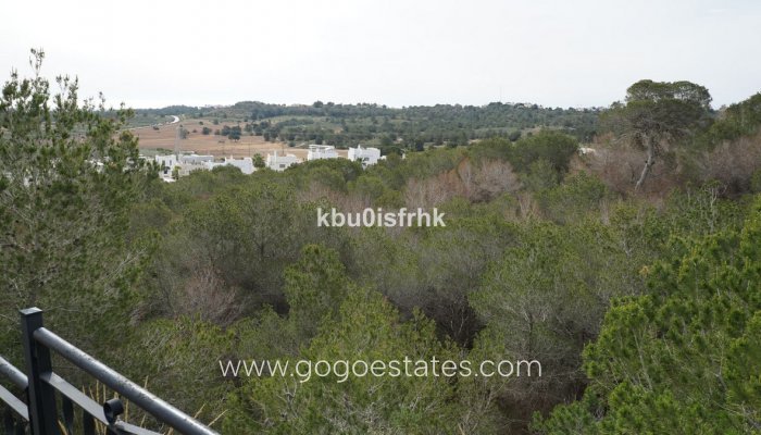 Revente - Maison - Villa Individuelle - San Miguel De Salinas - San Miguel de Salinas Centro