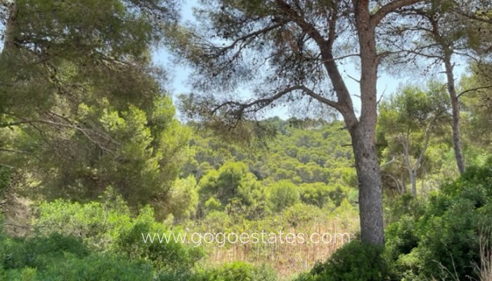 Te koop - Perceel - Land - Jávea Xàbia - Jávea - Xàbia Centro