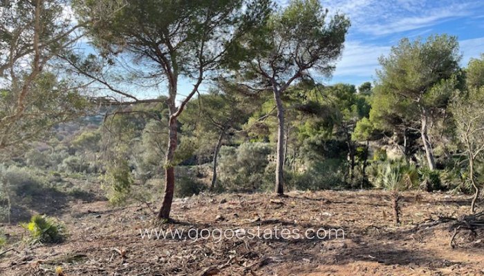 Te koop - Perceel - Land - Jávea Xàbia - Jávea - Xàbia Centro