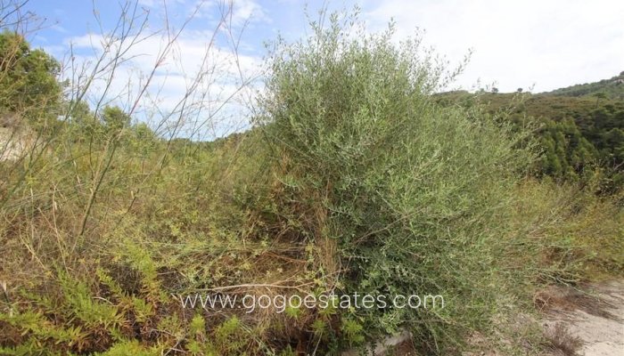 Te koop - Perceel - Land - Calpe - Calpe Centro