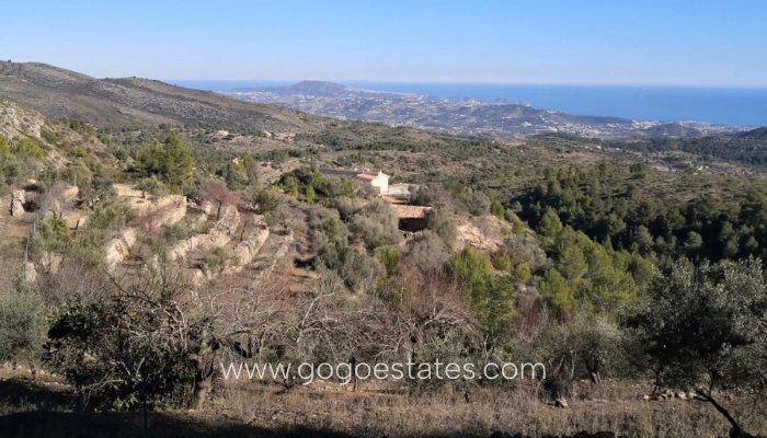 Te koop - Perceel - Land - Jalon - Bernia