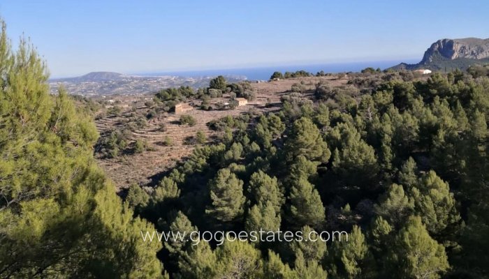 Te koop - Perceel - Land - Jalon - Bernia