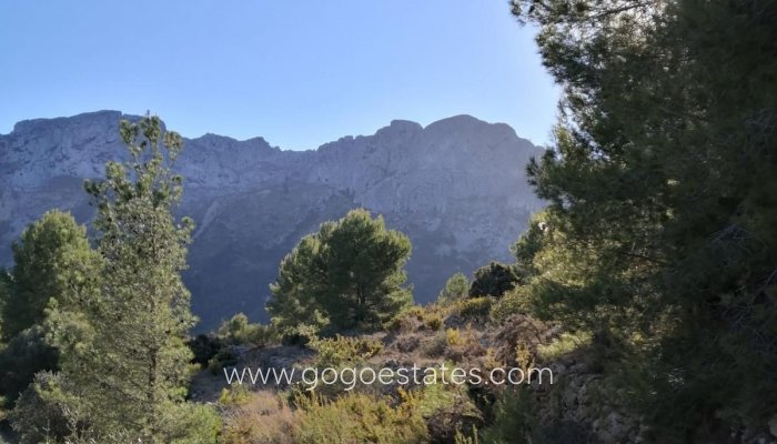 Te koop - Perceel - Land - Jalon - Bernia