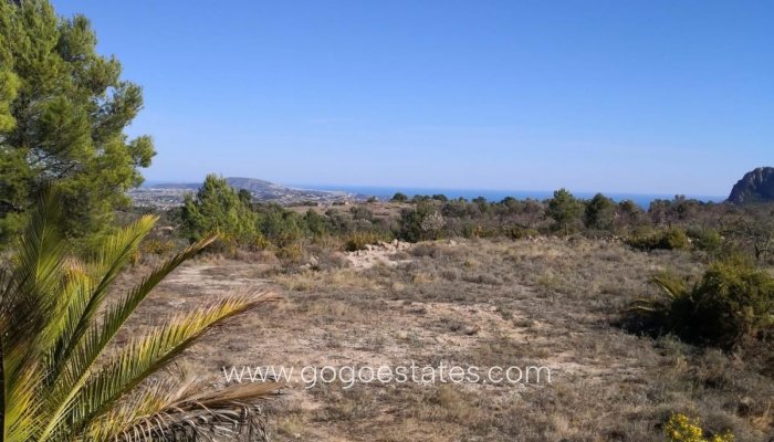 Te koop - Perceel - Land - Jalon - Bernia