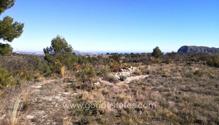 Te koop - Perceel - Land - Jalon - Bernia