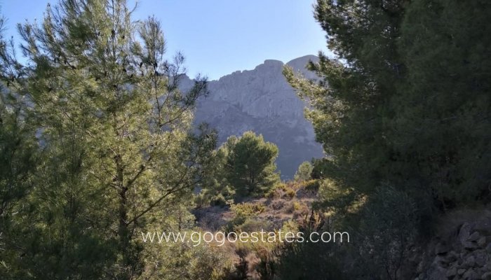 Te koop - Perceel - Land - Jalon - Bernia