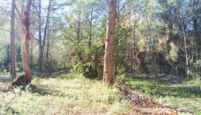 Resale - House - Detached Villa - Parcent