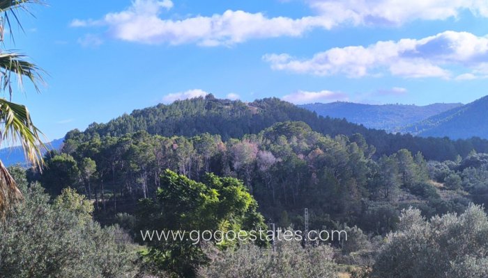 Te koop - Huis - Vrijstaande Villa - Parcent