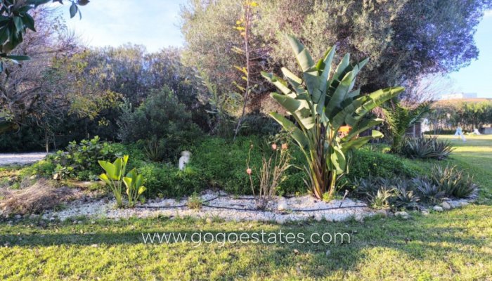 Te koop - Huis - Vrijstaande Villa - Ondara - Ondara Centro