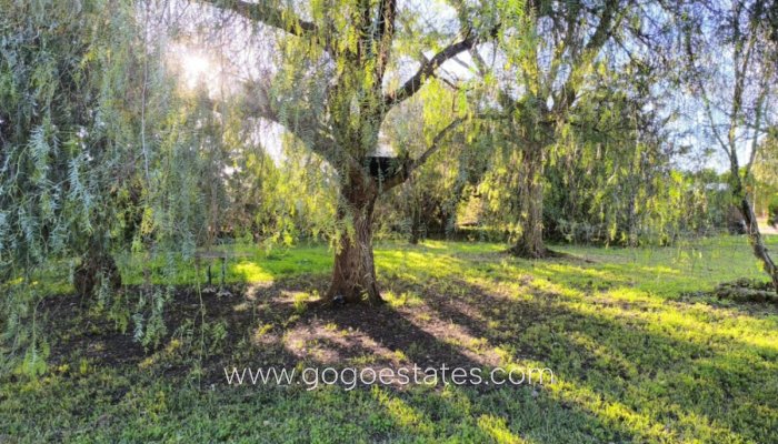 Te koop - Huis - Vrijstaande Villa - Ondara - Ondara Centro