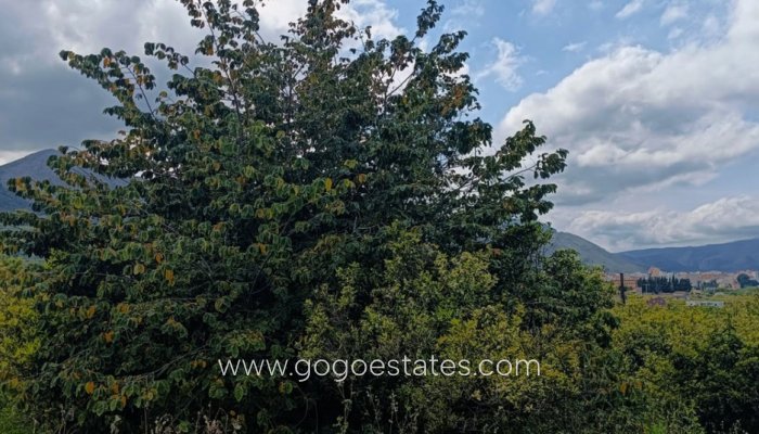 Te koop - Perceel - Woonperceel - Pego - Pego Centro